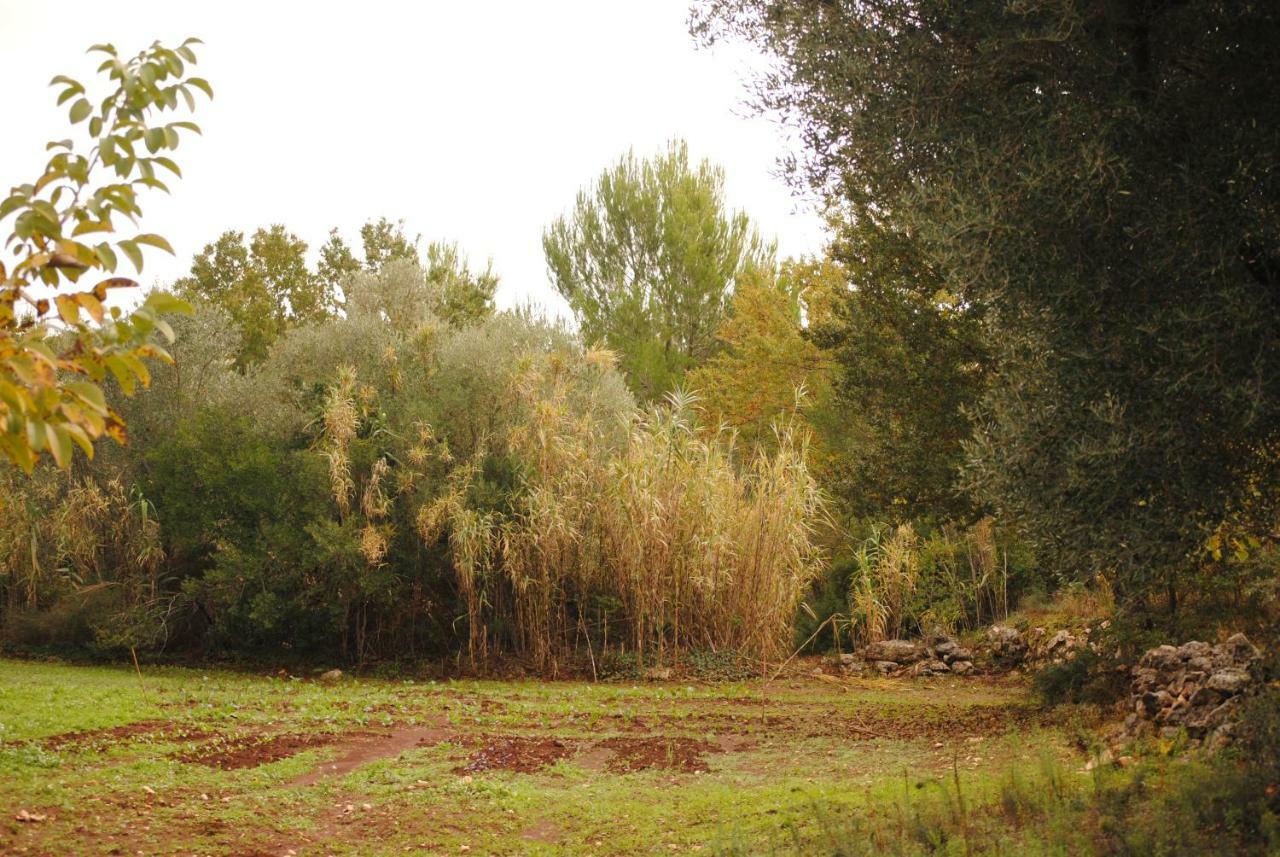 Bed and Breakfast Il Giardino Di Viola Ceglie Messapica Zewnętrze zdjęcie