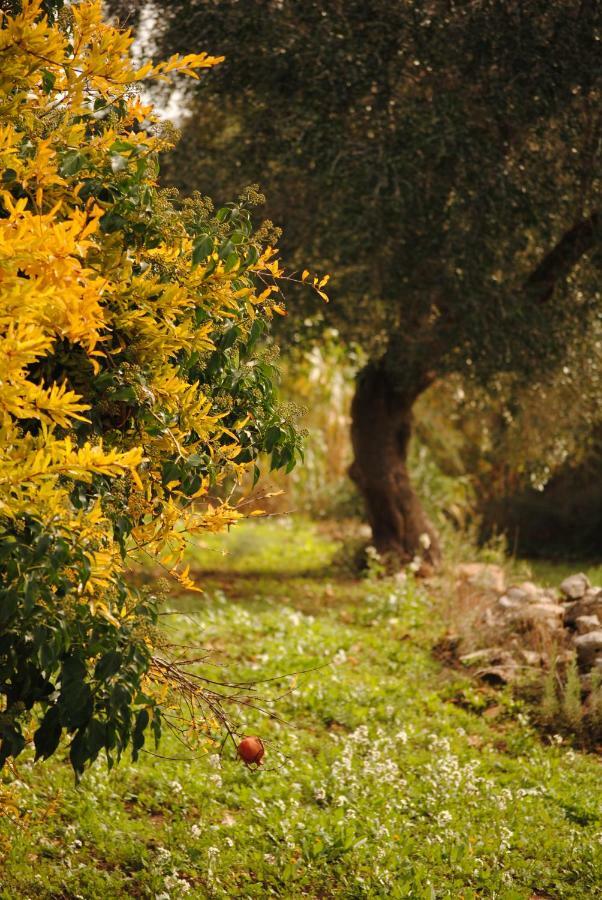 Bed and Breakfast Il Giardino Di Viola Ceglie Messapica Zewnętrze zdjęcie
