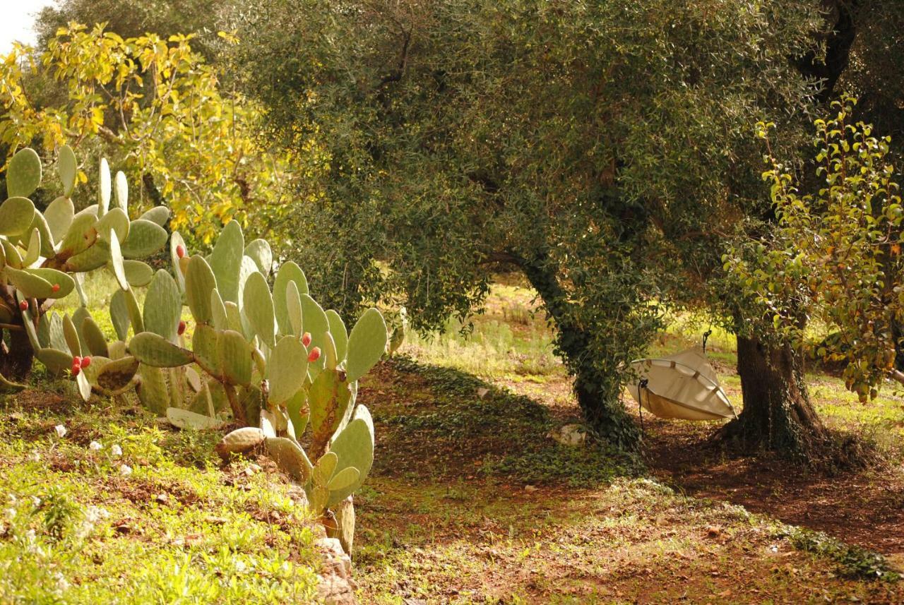 Bed and Breakfast Il Giardino Di Viola Ceglie Messapica Zewnętrze zdjęcie