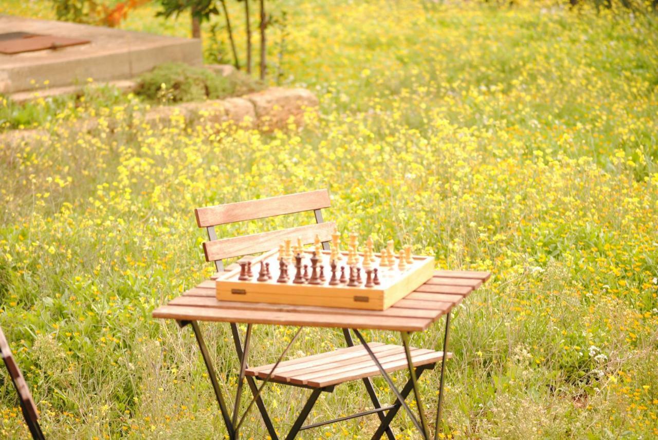 Bed and Breakfast Il Giardino Di Viola Ceglie Messapica Zewnętrze zdjęcie
