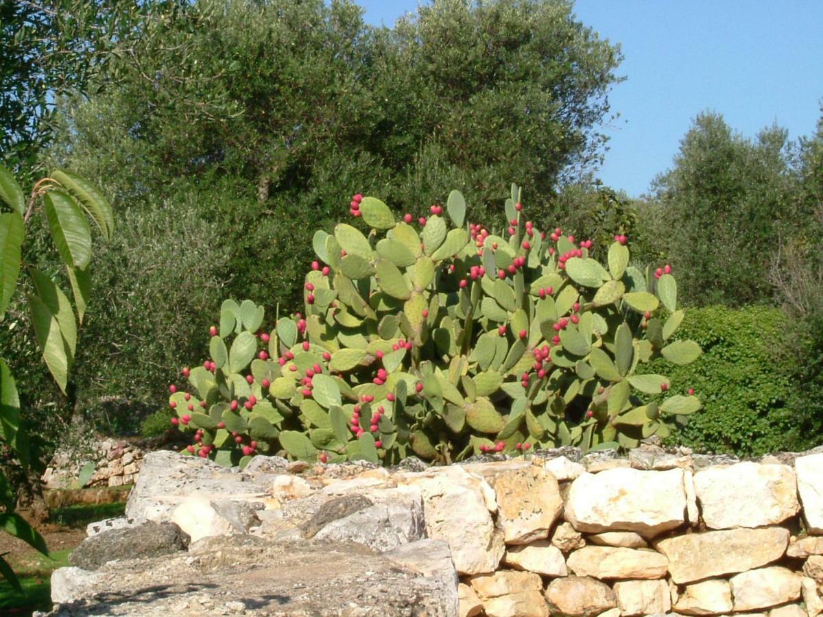 Bed and Breakfast Il Giardino Di Viola Ceglie Messapica Zewnętrze zdjęcie