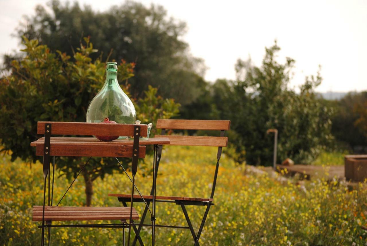 Bed and Breakfast Il Giardino Di Viola Ceglie Messapica Zewnętrze zdjęcie