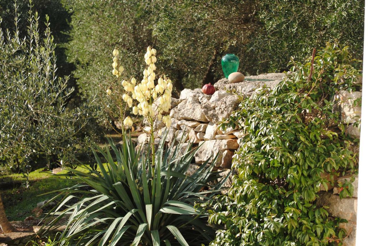 Bed and Breakfast Il Giardino Di Viola Ceglie Messapica Zewnętrze zdjęcie