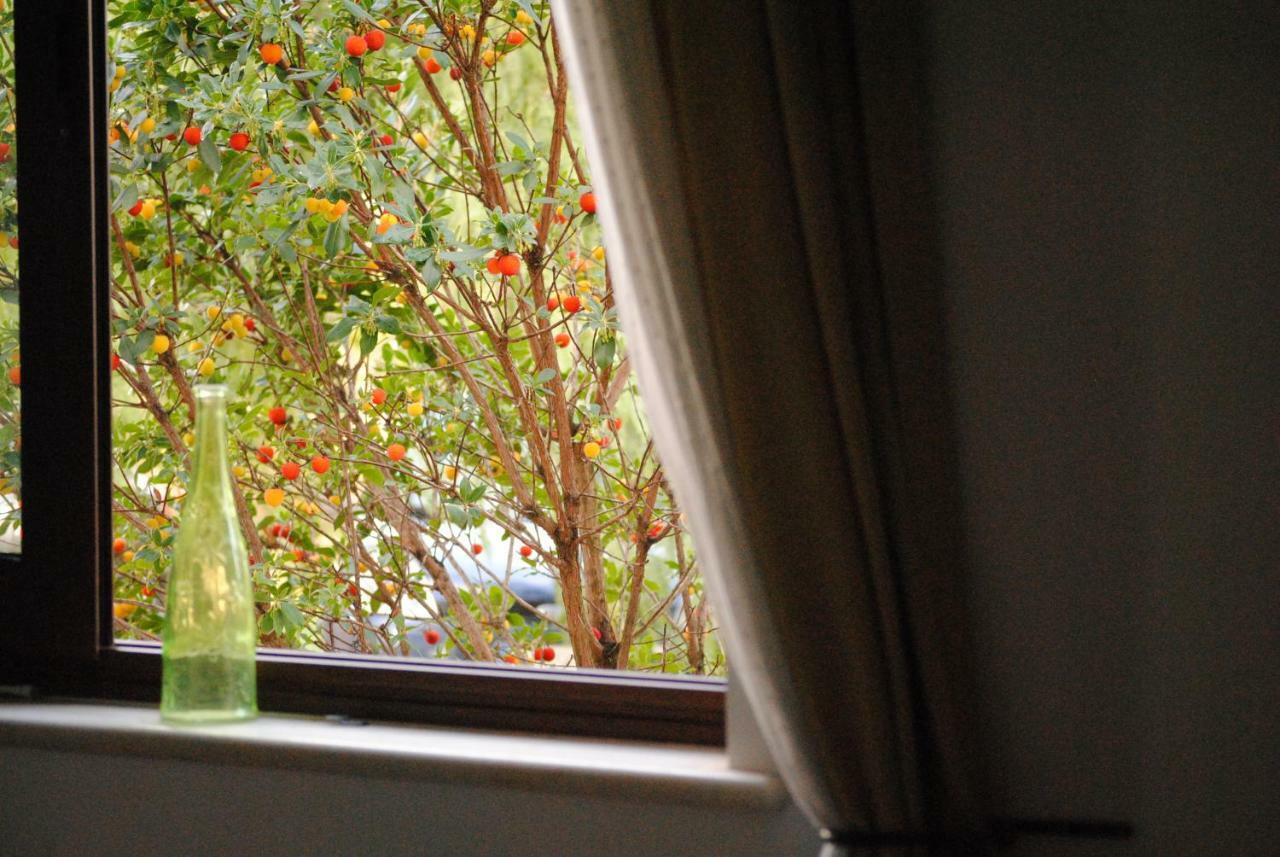 Bed and Breakfast Il Giardino Di Viola Ceglie Messapica Zewnętrze zdjęcie